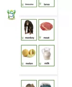 ⁦قاموس انجليزي مصور⁩ - الصورة ⁦5⁩